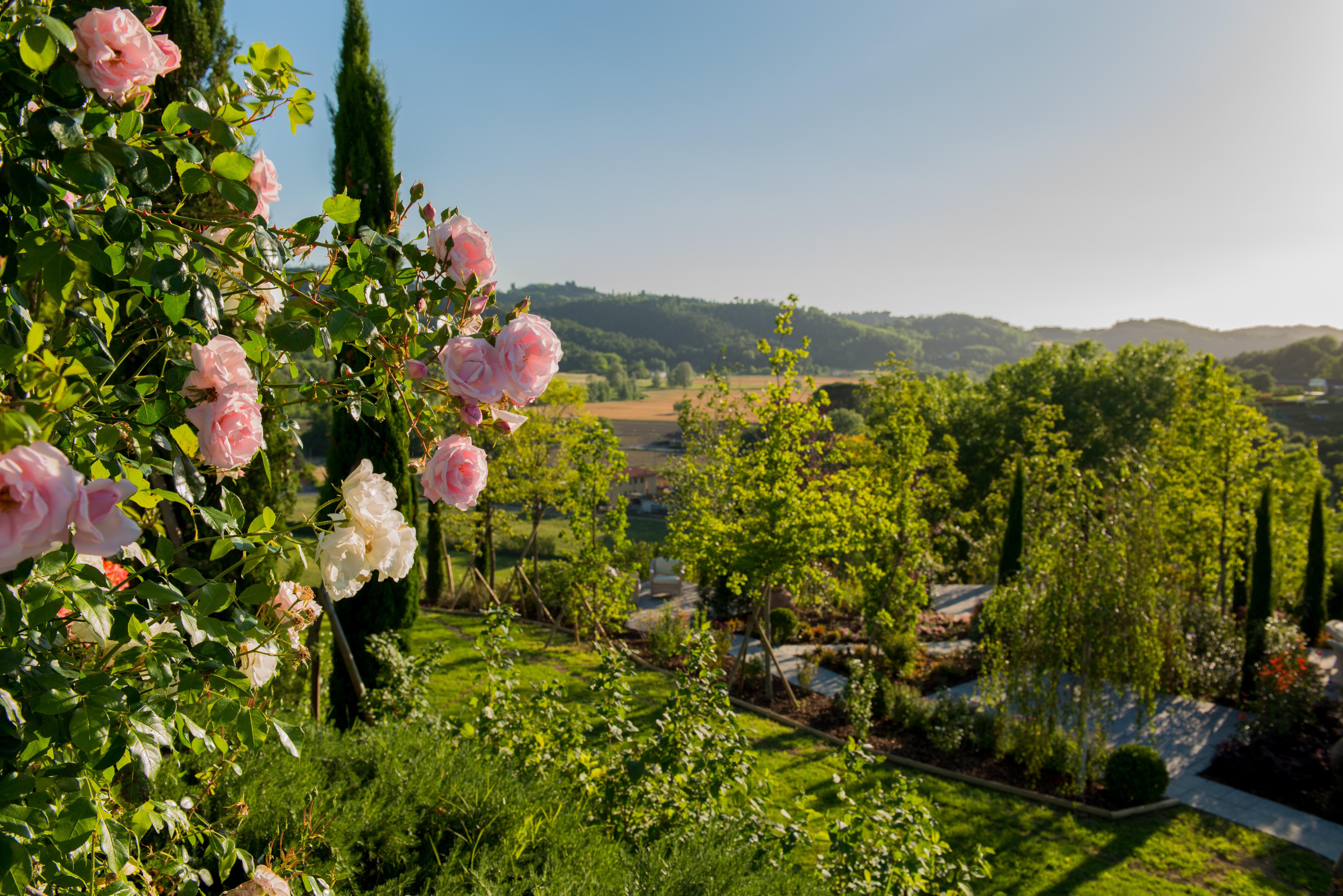 Relais Sassa Al Sole Hotell San Miniato Exteriör bild